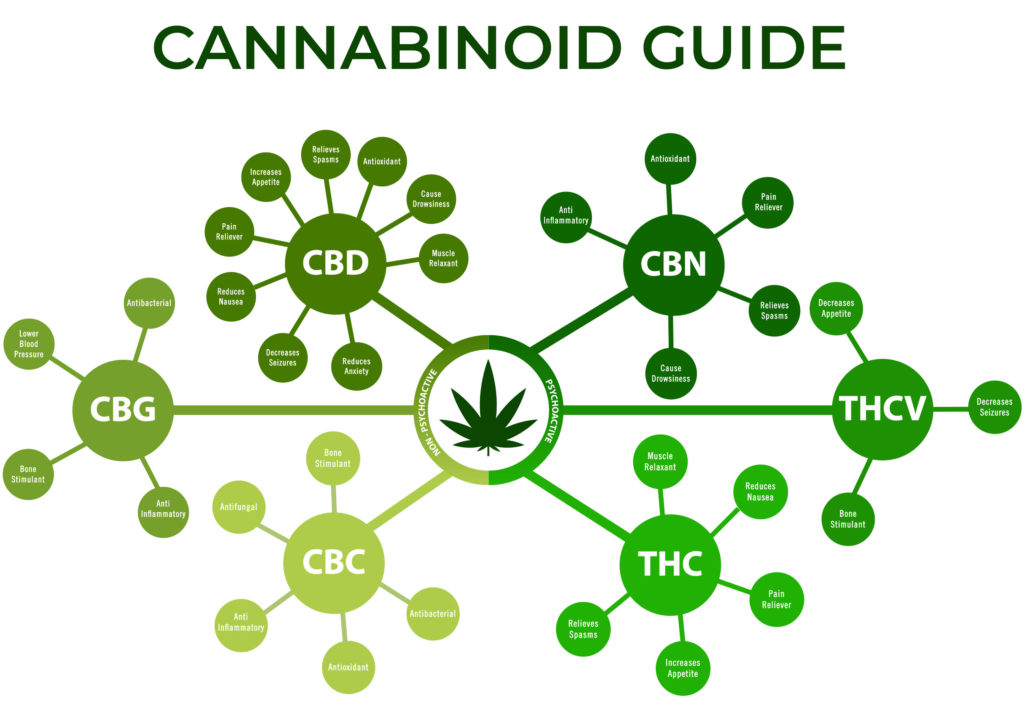 cannabinoid-guide